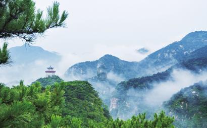 多囊卵巢与排卵，其中关系你知道吗？